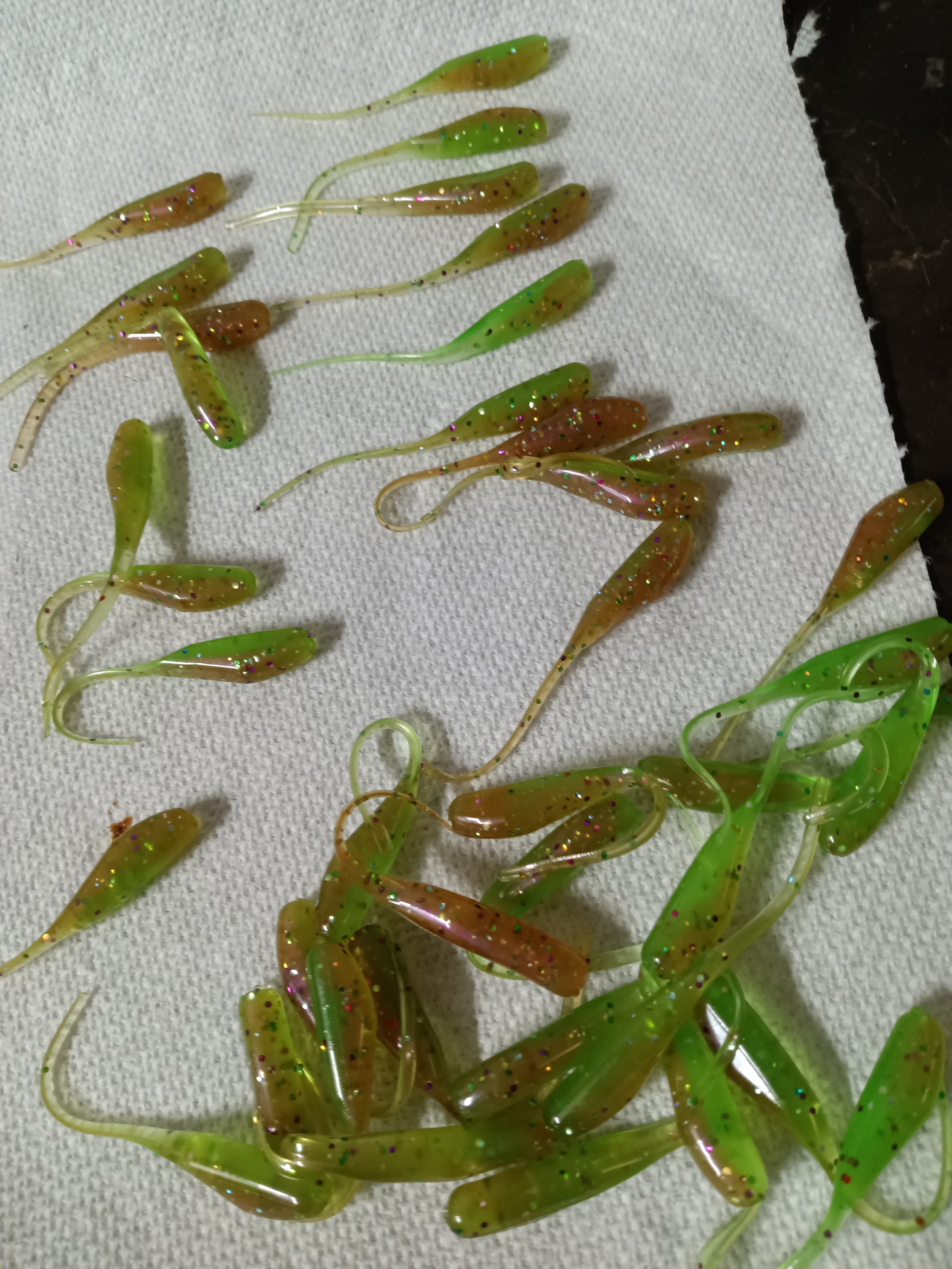 B.A baby shad minnow